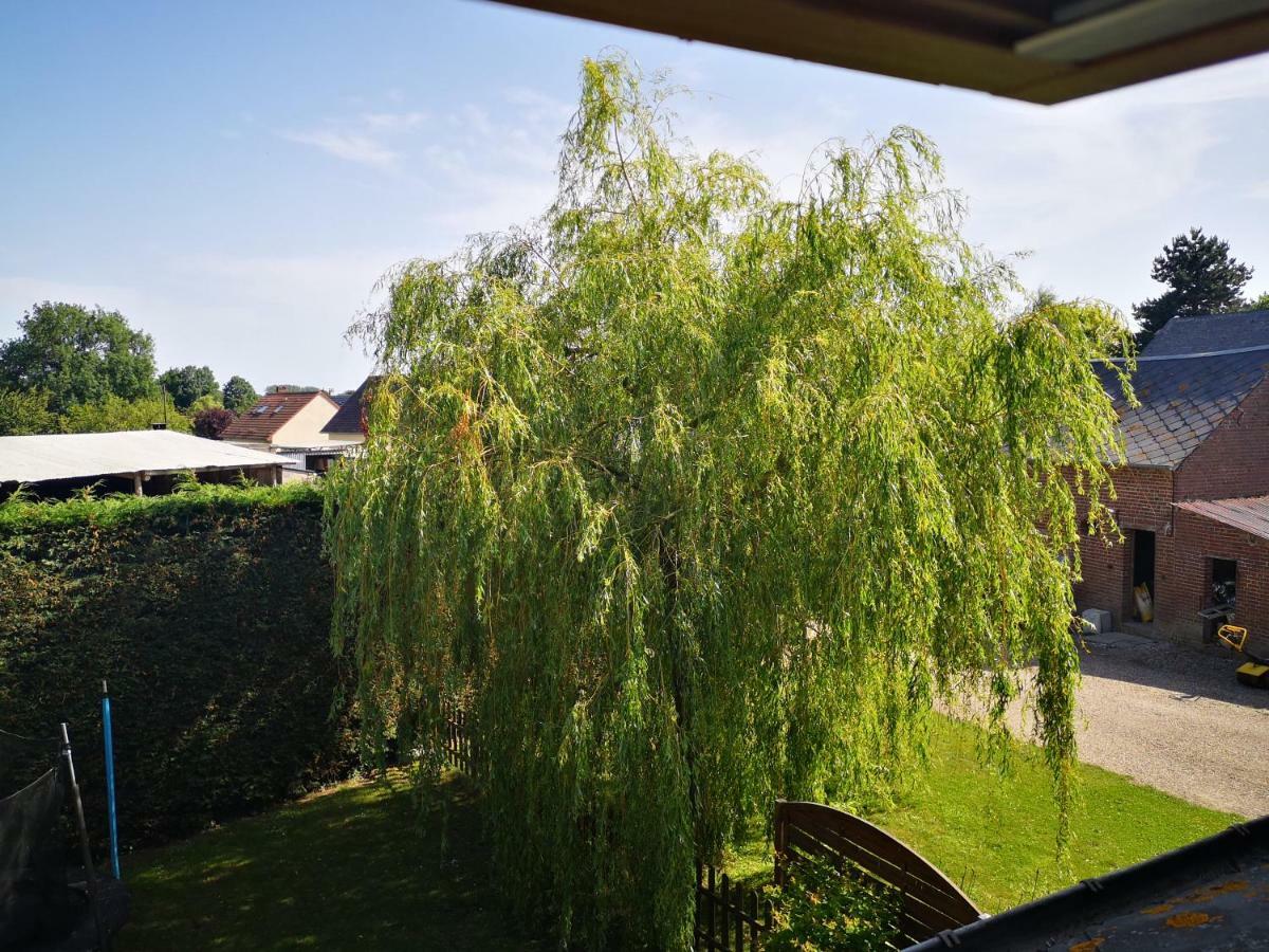 Gite A La Ferme - Baie De Somme Saint-Quentin-Lamotte-Croix-au-Bailly 外观 照片